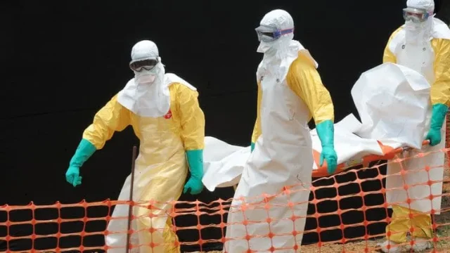 Résurgence d’Ebola à N’zérékoré ? la réponse de l’ANSS