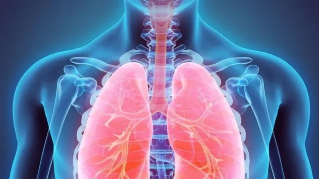 Fibrose pulmonaire : une maladie qui altère le fonctionnement du poumon