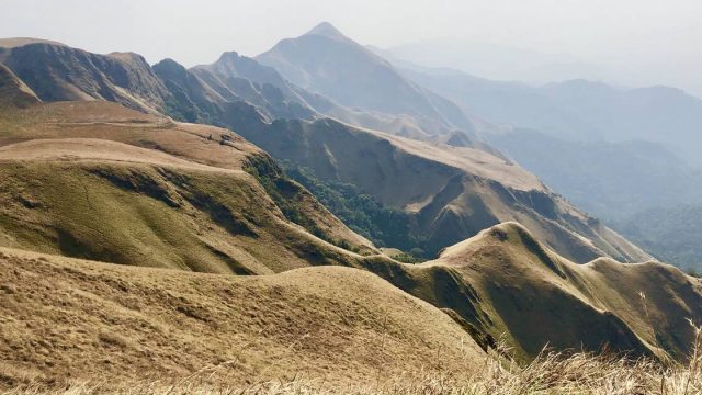 Mont Nimba : un patrimoine à forte potentialité, exposé à ses risques et périls
