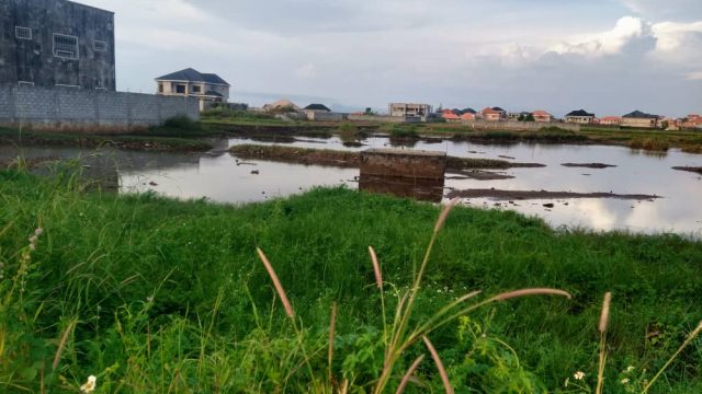 Occupation anarchique sur les bas-fonds à Conakry : une réelle menace de la biodiversité