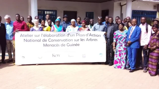 Guinée | plus de 300 espèces végétales menacées  : un atelier participatif réuni des spécialistes