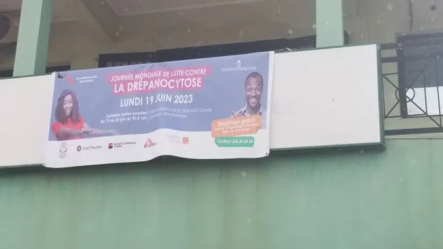 Lutte contre la drépanocytose : où en est la Guinée ?