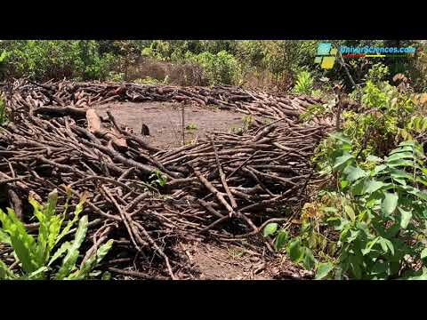 Koukouboui, la communauté déterminée à redonner à l&rsquo;#environnement sa vitalité