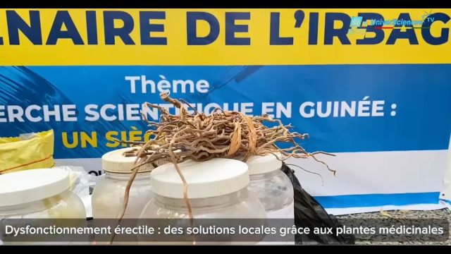 Dysfonctionnement érectile : des solutions locales grâce aux plantes médicinales