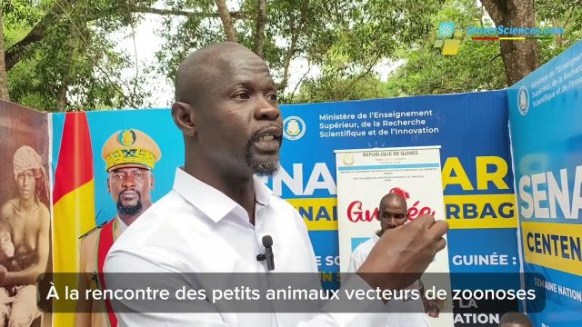 Ces petits animaux vecteurs de zoonoses !