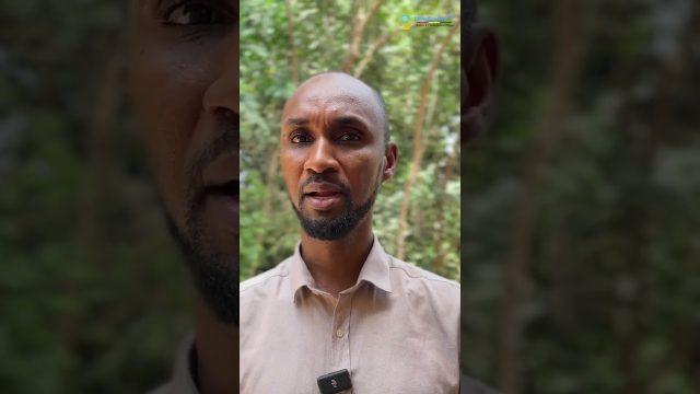 Dr Ramadan sur la reforme dans le domaine de la recherche