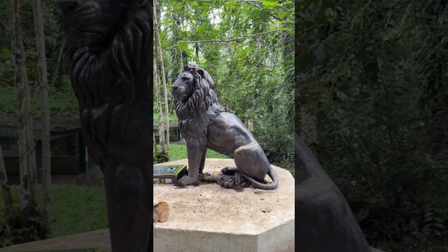 Au cœur du Poumon d’Abidjan !
