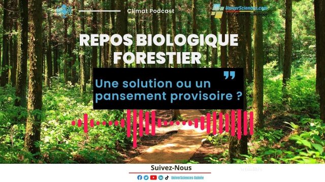 Repos biologique forestier en Guinée : solution ou pansement provisoire ?