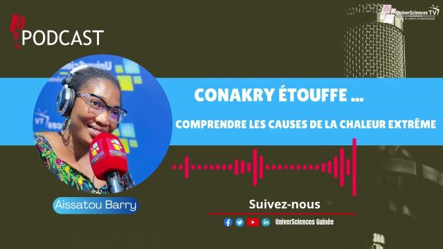 Conakry étouffe, comprendre les causes