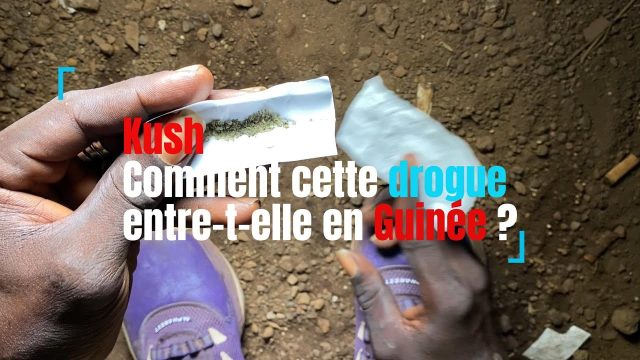 Enquête : Comment le Kush entre-t-il en Guinée ?