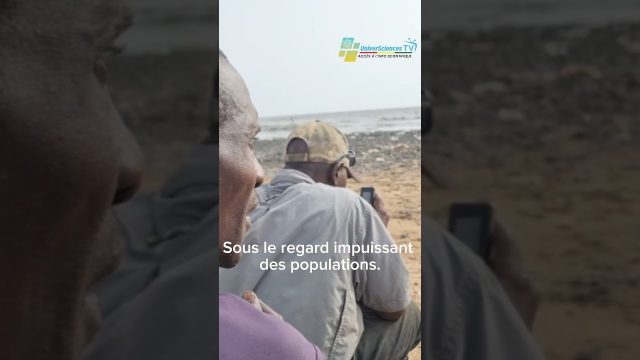 Montée des eaux et intrusion de l’eau salée, des plaines autrefois cultivables disparaissent