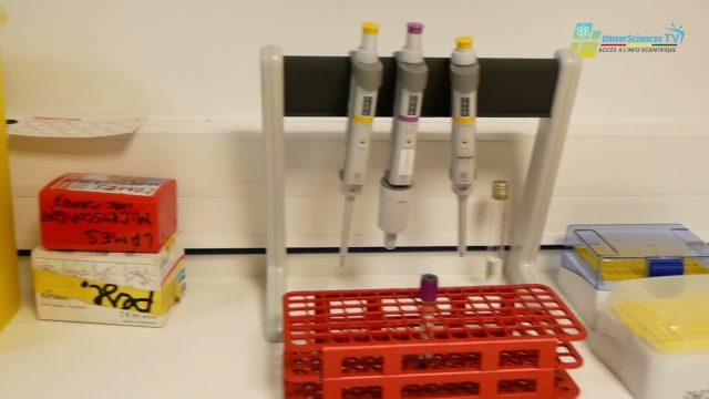 L&rsquo;Institut Pasteur de Guinée a été officiellement inauguré