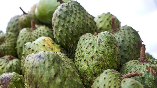 Décoction de corossol, citronnelle et cendre pour traiter tous les cancers : attention à ce remède dangereux pour la santé 